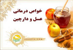 13 خواص دارچین و عسل که احتمالا نمی دانید!