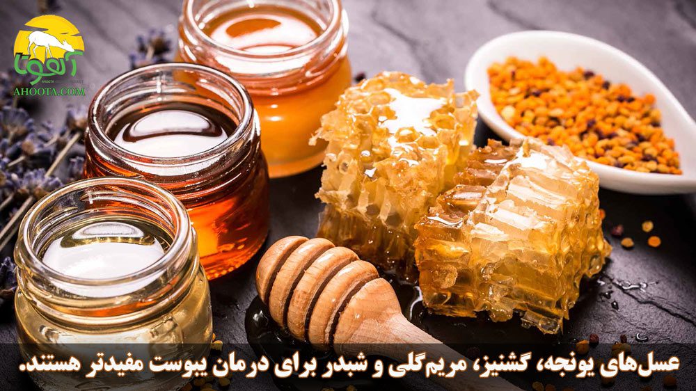 فواید عسل برای یبوست