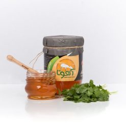 خرید عسل گشنیز