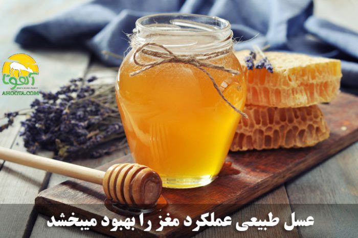 خواص عسل برای تقویت حافظه