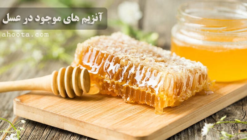 آنزیم های موجود در عسل