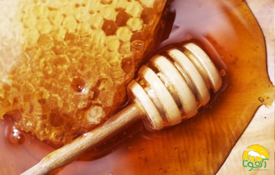 فواید عسل آهوتا