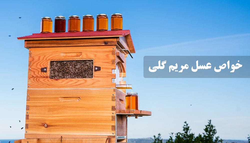 خواص عسل مریم گلی