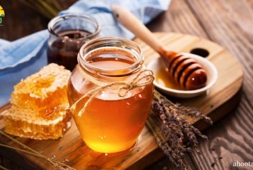 عسل در کتب آسمانی؛ جایگاه عسل در ادیان مختلف