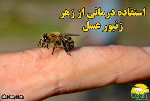 درباره استفاده درمانی از زهر زنبور عسل بیشتر بدانید