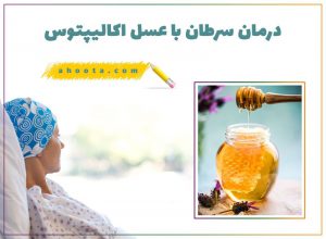 عسل اکالیپتوس؛ 9 قدم برای حفظ سلامتی با عسل اکالیپتوس!