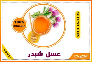 عسل شبدر؛ ۱۰ خاصیت فوق العاده آن برای سلامتی!