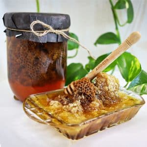 خرید عسل کوهی