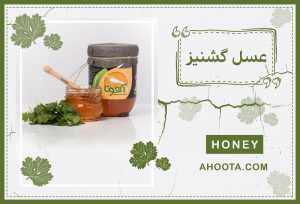 عسل گشنیز؛ ۱۱ خاصیت حیرت انگیز و عوارض جانبی آن!