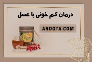 درمان کم خونی با عسل؛ ۷ روش آسان و کاربردی در منزل!