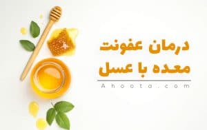 درمان عفونت معده با عسل