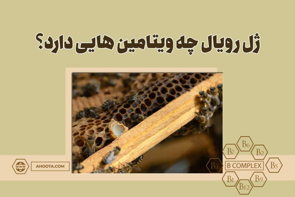 ژل رویال چه ویتامین هایی دارد