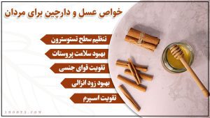 5 خواص عسل و دارچین برای مردان + نحوه مصرف