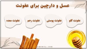 عسل و دارچین برای عفونت