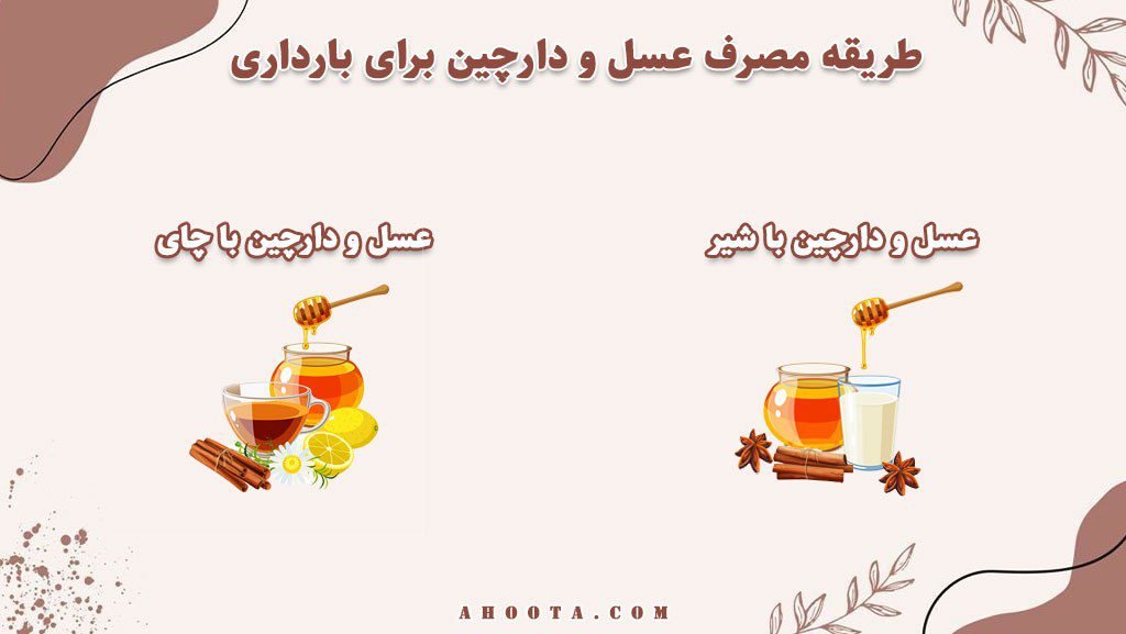 طریقه مصرف عسل و دارچین برای بارداری