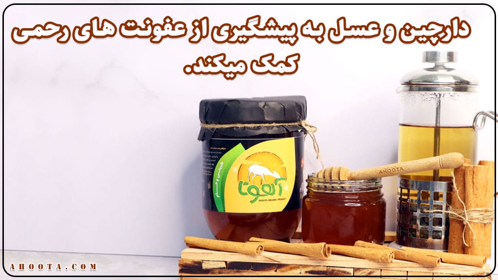 خواص دارچین و عسل برای عفونت رحم