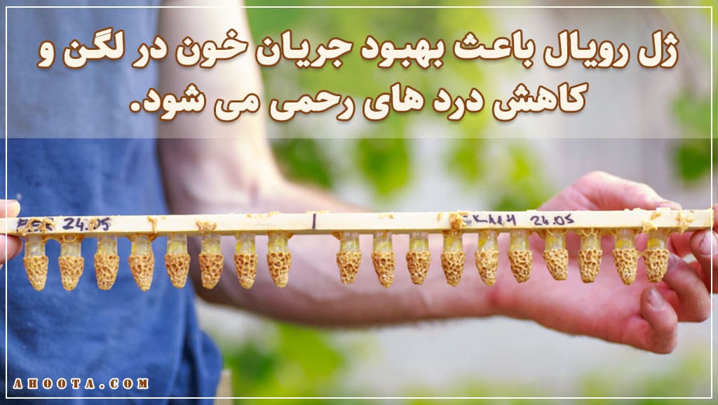 خواص ژل رویال برای زنان