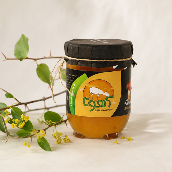 خرید عسل بورتیکان