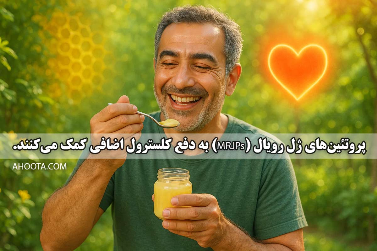 تاثیرات ژل رویال برای قلب