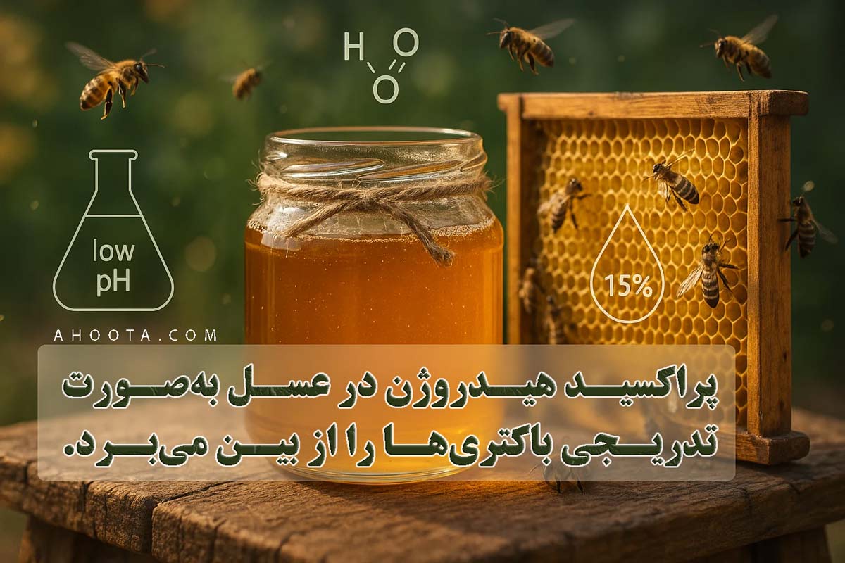 ایا عسل خراب میشود