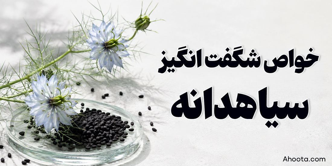 جویدن سیاه دانه صبح ناشتا