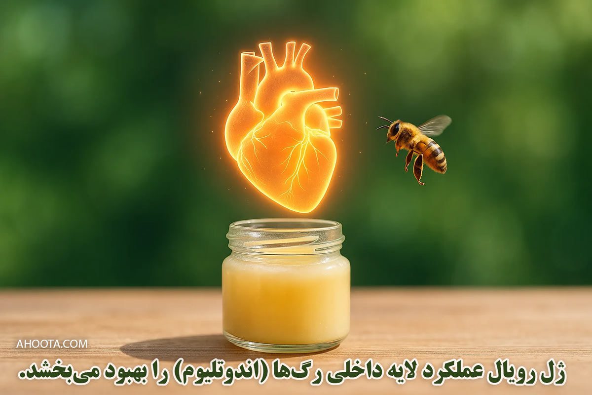 خواص ژل رویال برای بیماران قلب و عروق