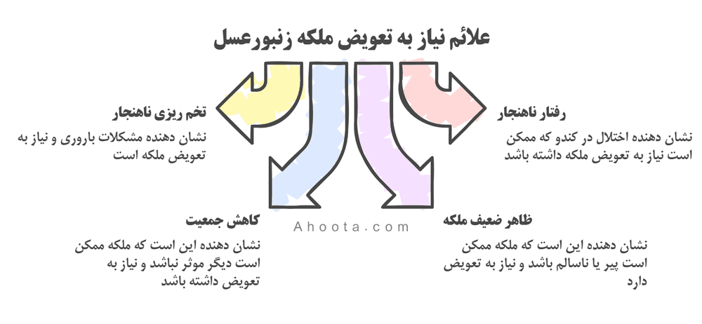 تشخیص سن ملکه زنبورعسل