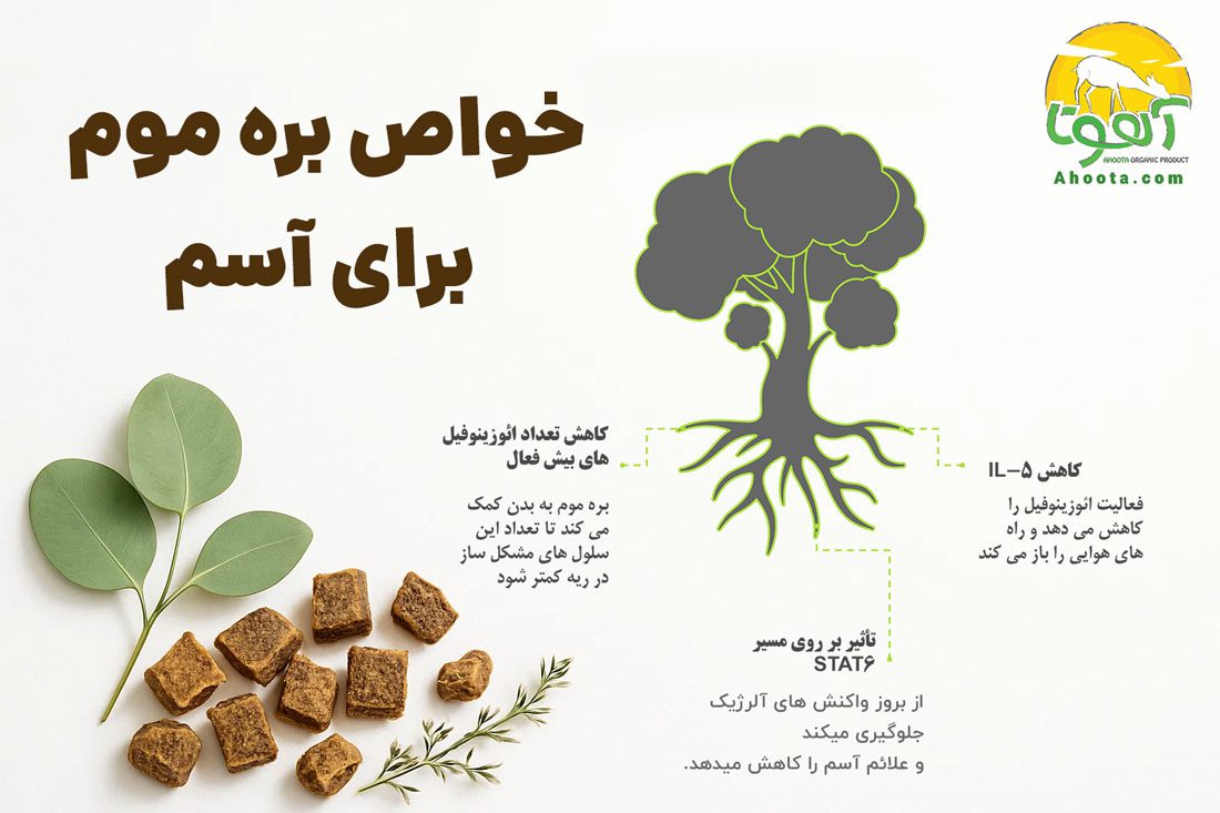 خواص بره موم برای آسم