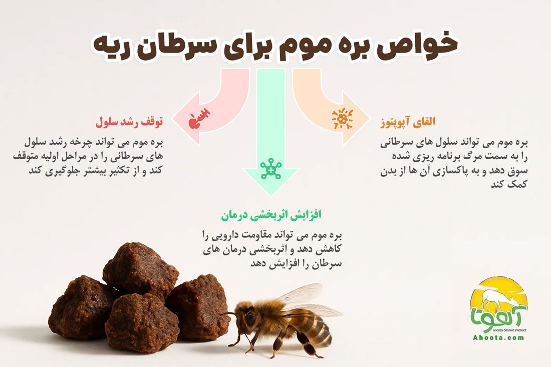 خواص بره موم برای سرطان ریه