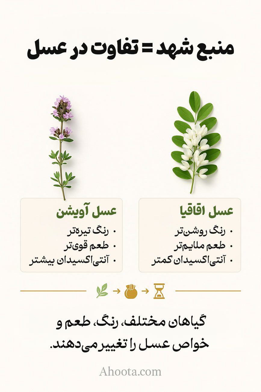 مراحل ساخت عسل توسط زنبور