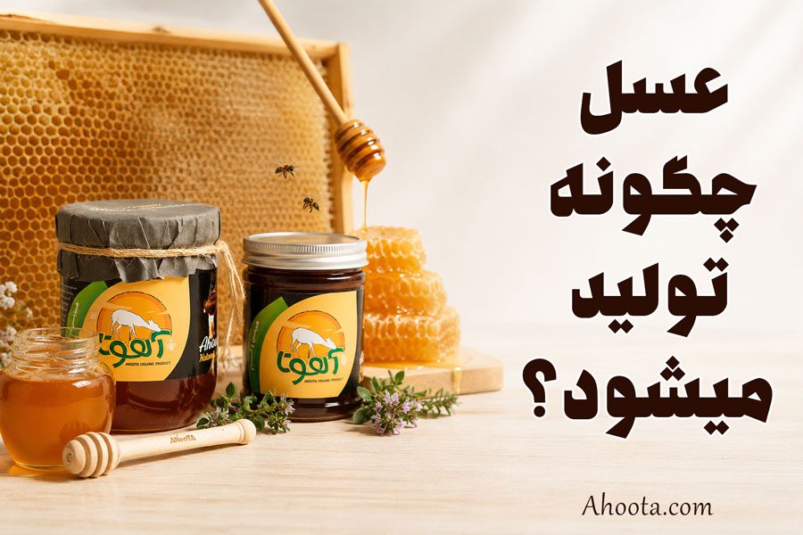 نحوه تولید عسل توسط زنبور