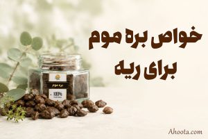 10 خواص بره موم برای ریه + نحوه مصرف