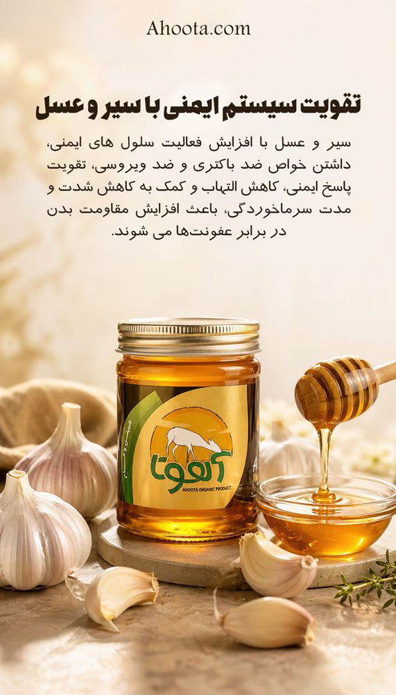 خواص سیر و عسل برای مردان و پروستات